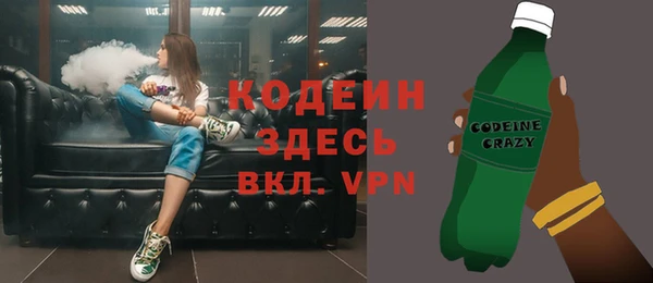 круглые Корсаков