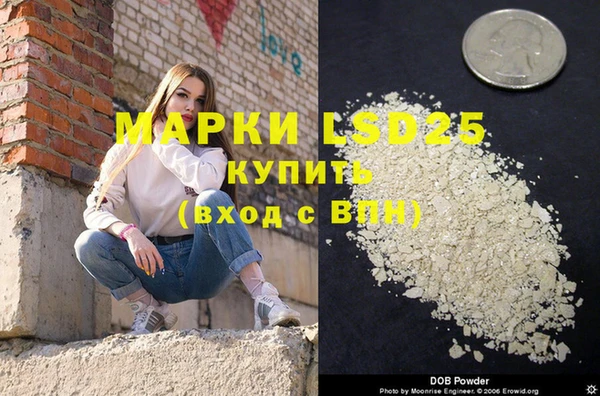 ГАЛЛЮЦИНОГЕННЫЕ ГРИБЫ Коряжма