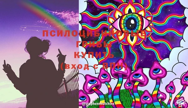 ГАЛЛЮЦИНОГЕННЫЕ ГРИБЫ Коряжма